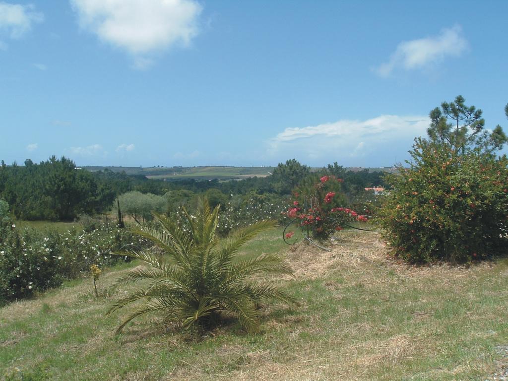 Monte Da Xara Villa Алжезур Екстериор снимка
